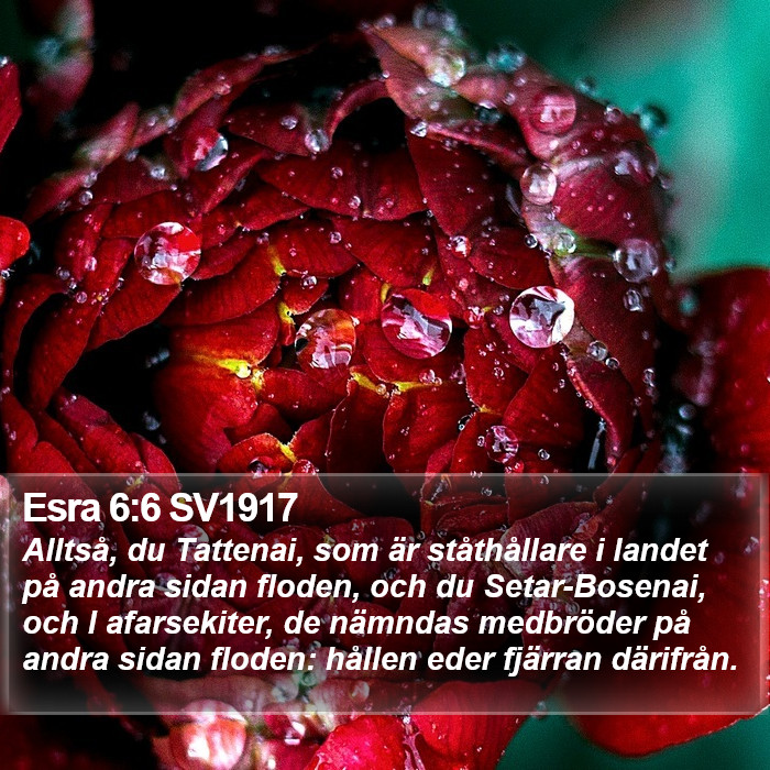 Esra 6:6 SV1917 Bible Study