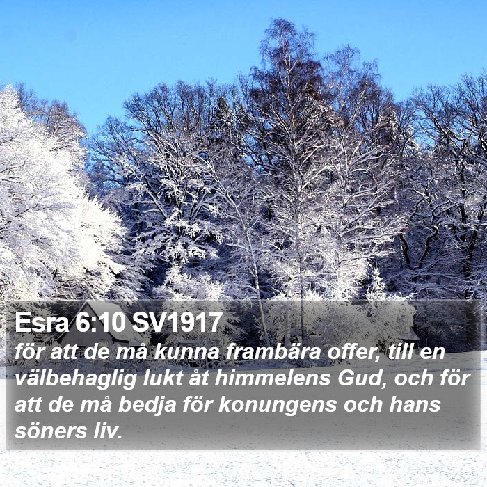 Esra 6:10 SV1917 Bible Study