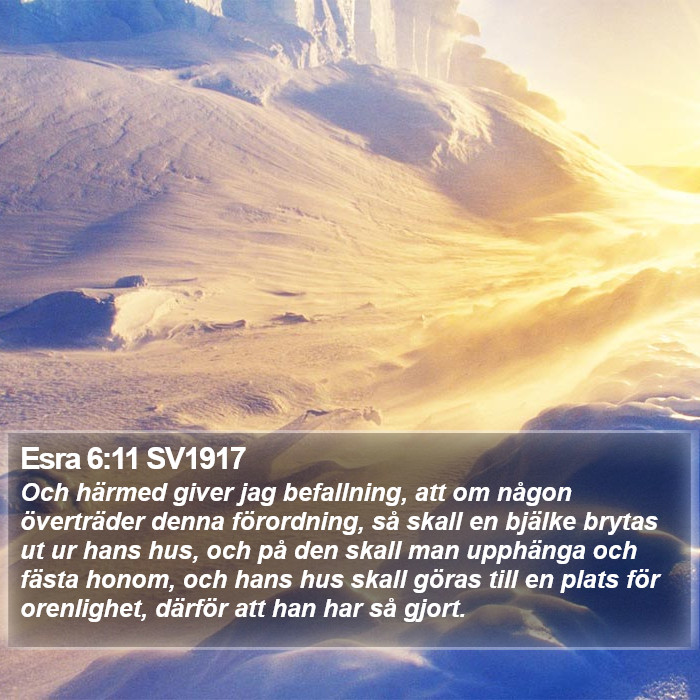 Esra 6:11 SV1917 Bible Study