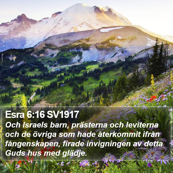 Esra 6:16 SV1917 Bible Study