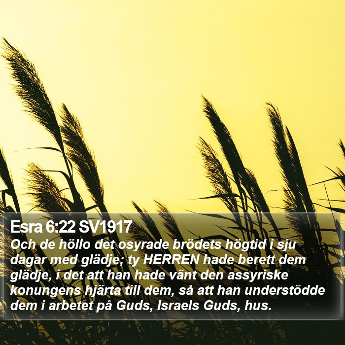 Esra 6:22 SV1917 Bible Study