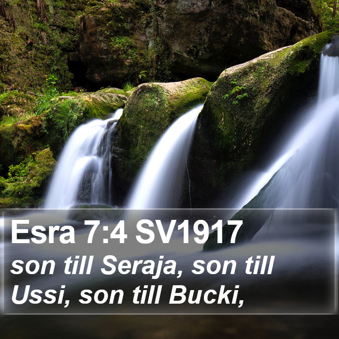 Esra 7:4 SV1917 Bible Study