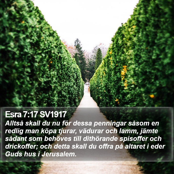 Esra 7:17 SV1917 Bible Study