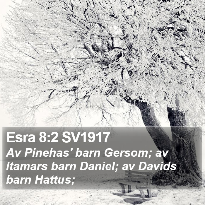 Esra 8:2 SV1917 Bible Study