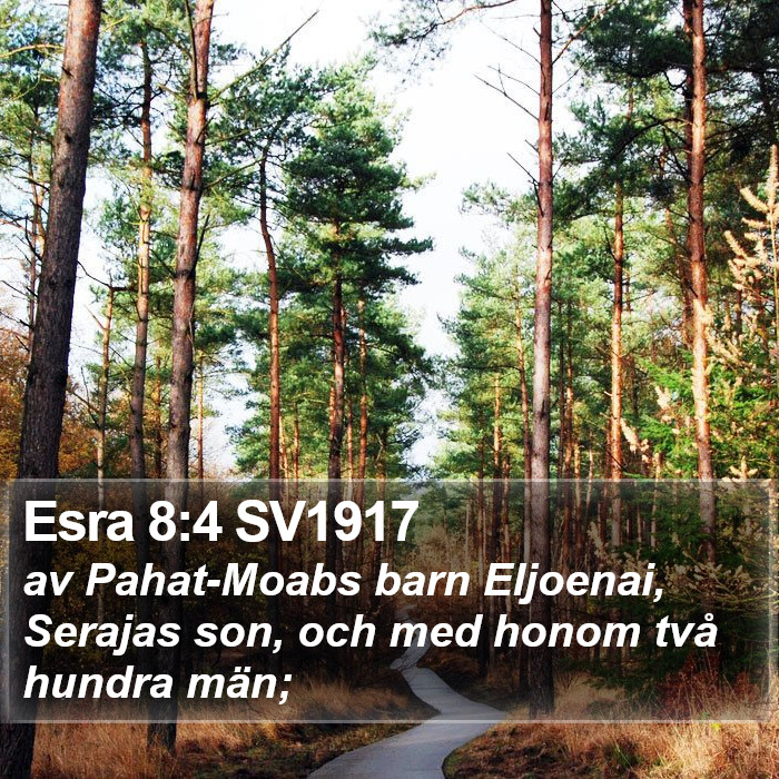 Esra 8:4 SV1917 Bible Study