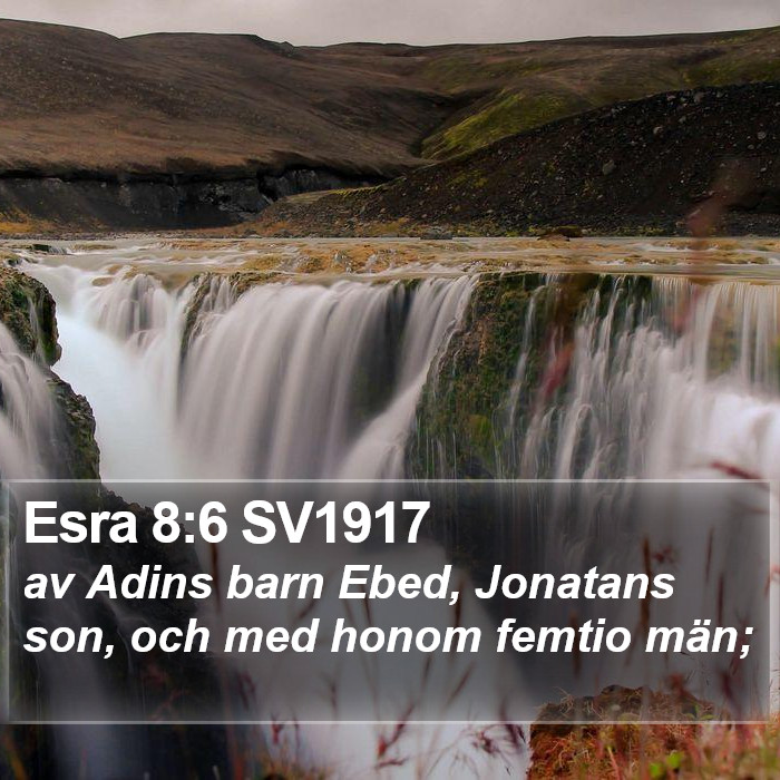 Esra 8:6 SV1917 Bible Study