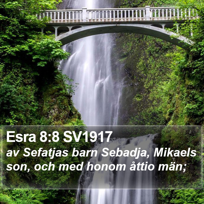 Esra 8:8 SV1917 Bible Study