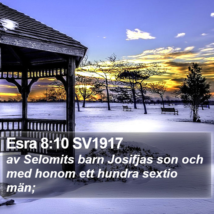 Esra 8:10 SV1917 Bible Study