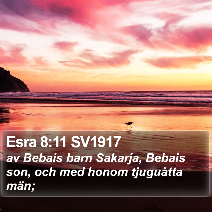 Esra 8:11 SV1917 Bible Study