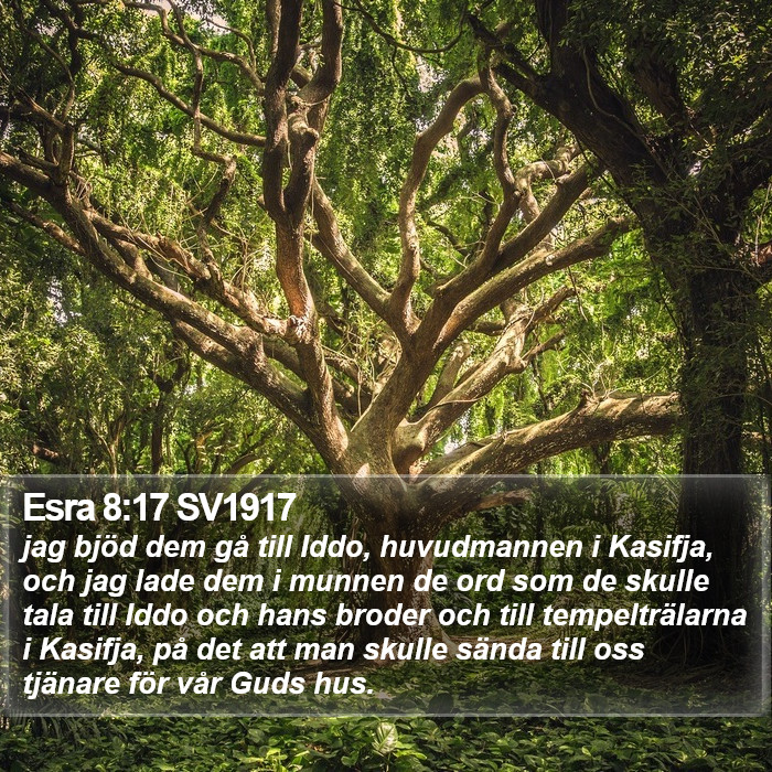 Esra 8:17 SV1917 Bible Study