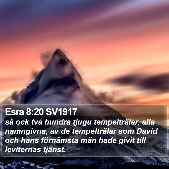 Esra 8:20 SV1917 Bible Study