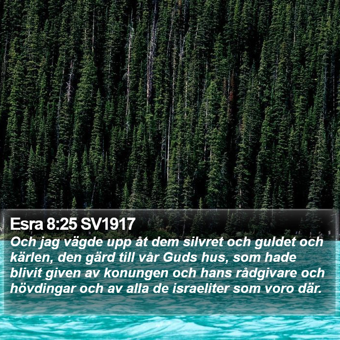 Esra 8:25 SV1917 Bible Study