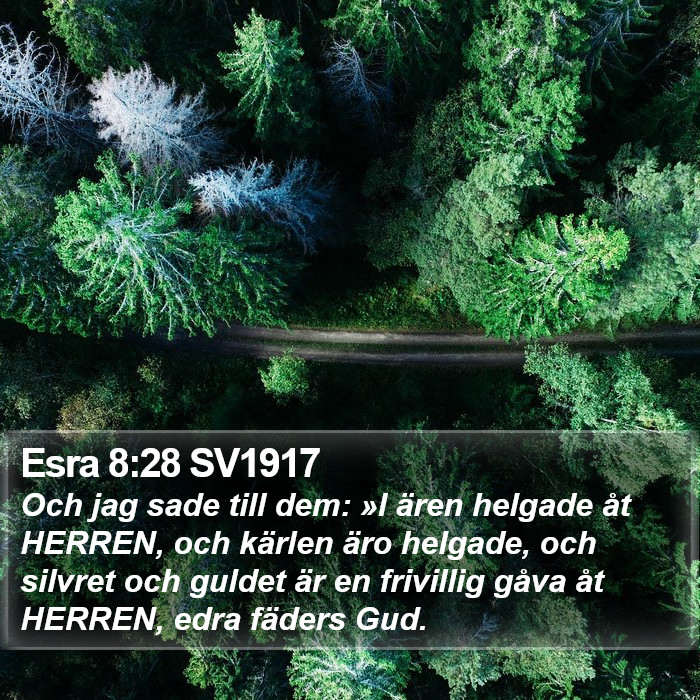 Esra 8:28 SV1917 Bible Study