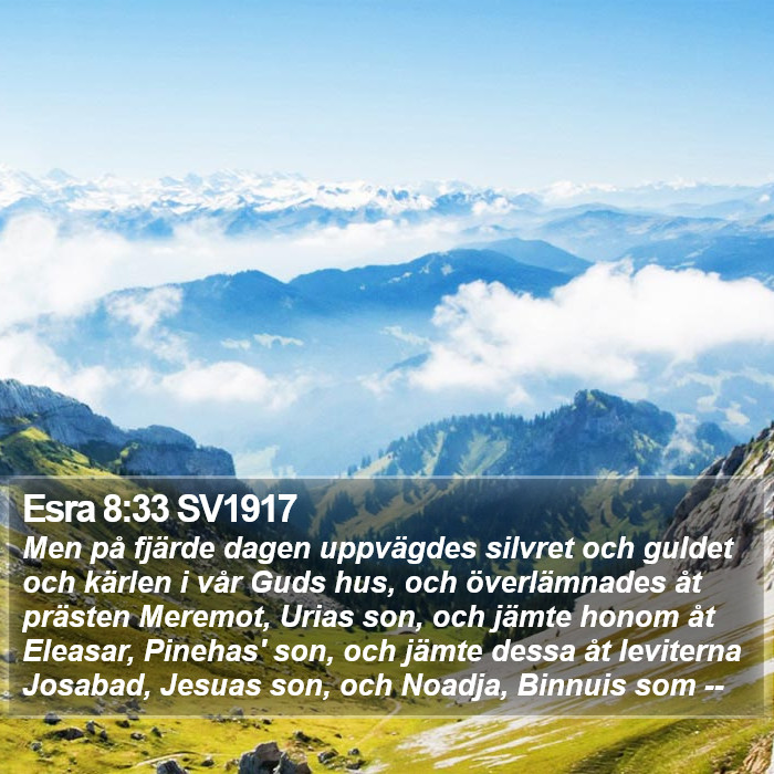 Esra 8:33 SV1917 Bible Study