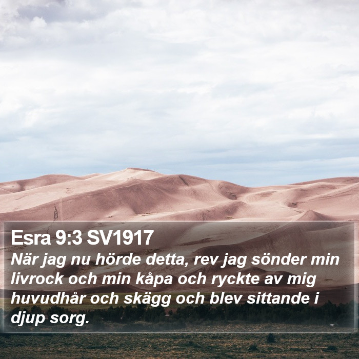 Esra 9:3 SV1917 Bible Study