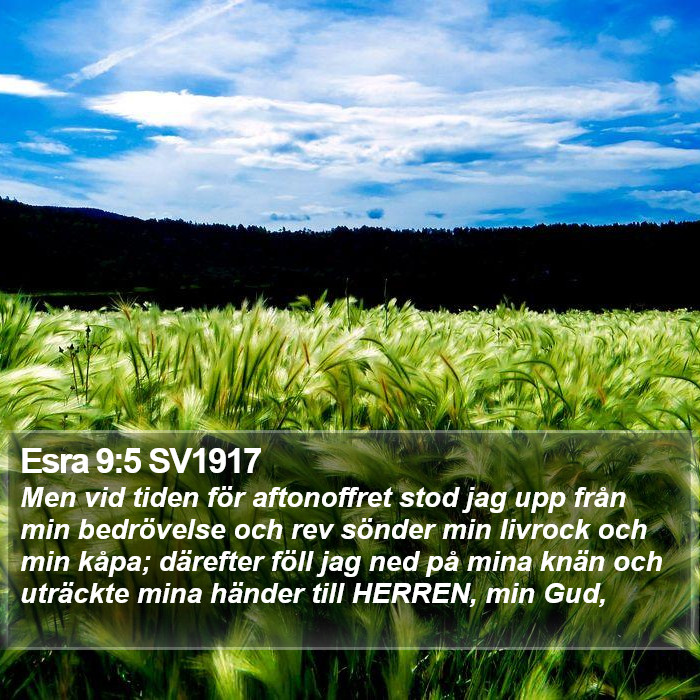 Esra 9:5 SV1917 Bible Study