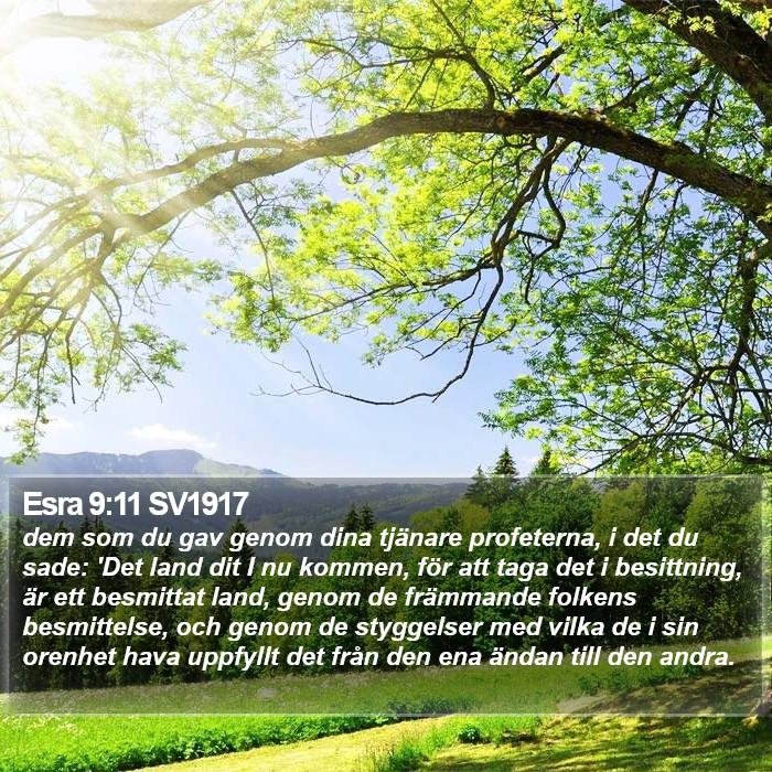 Esra 9:11 SV1917 Bible Study