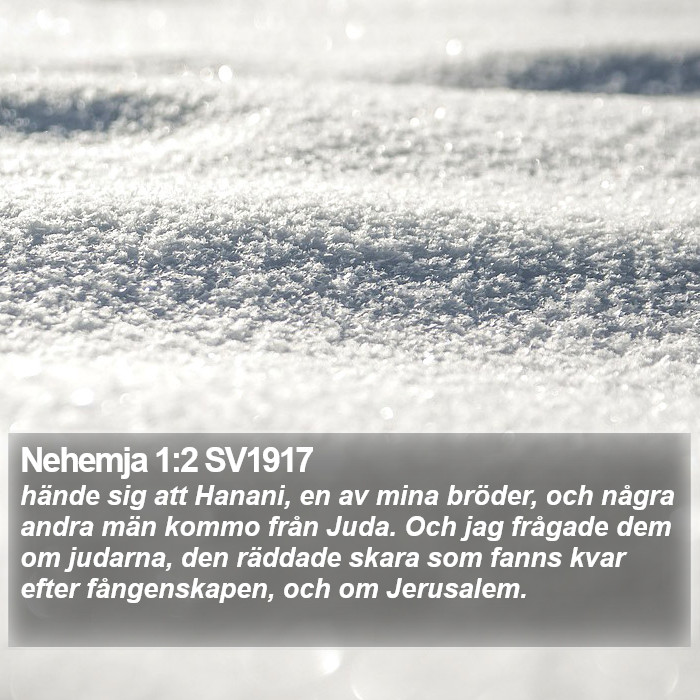 Nehemja 1:2 SV1917 Bible Study