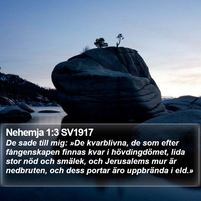 Nehemja 1:3 SV1917 Bible Study