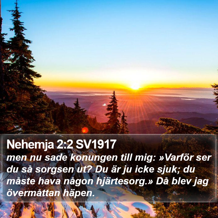 Nehemja 2:2 SV1917 Bible Study