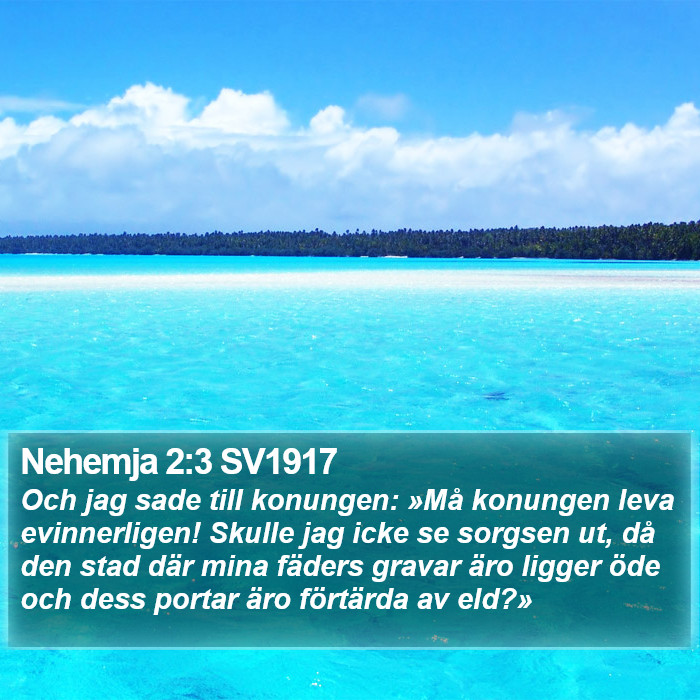 Nehemja 2:3 SV1917 Bible Study