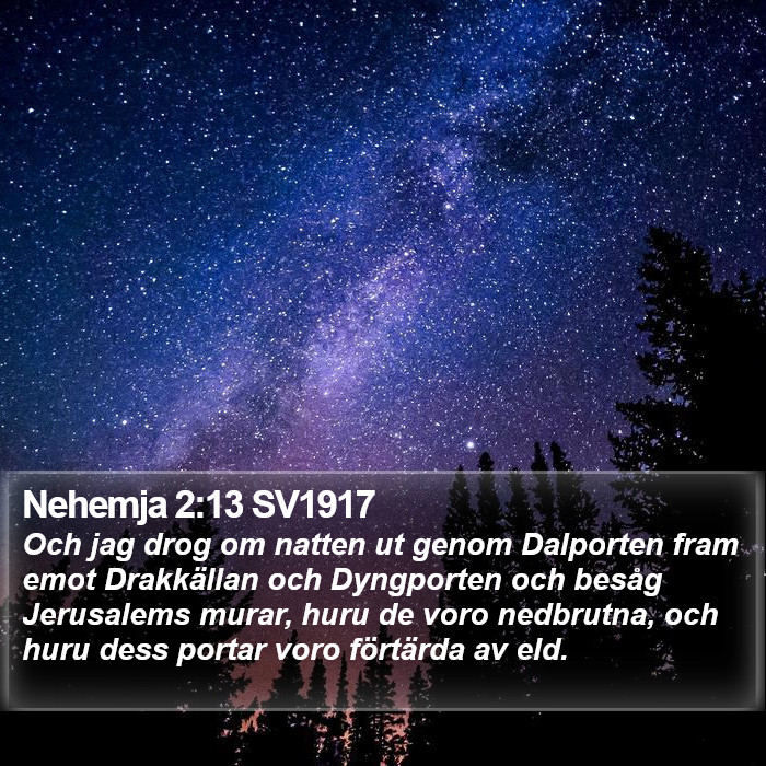Nehemja 2:13 SV1917 Bible Study