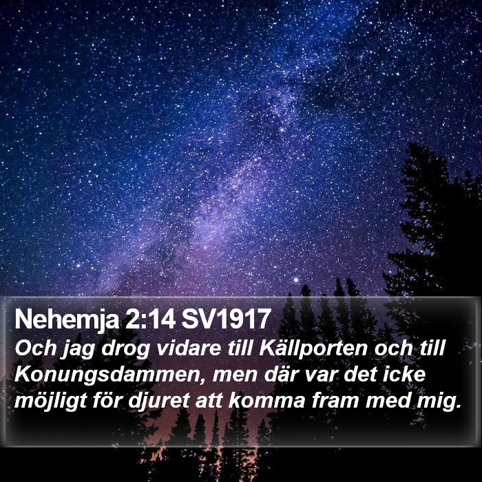 Nehemja 2:14 SV1917 Bible Study