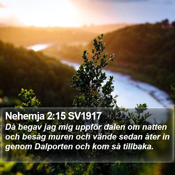 Nehemja 2:15 SV1917 Bible Study