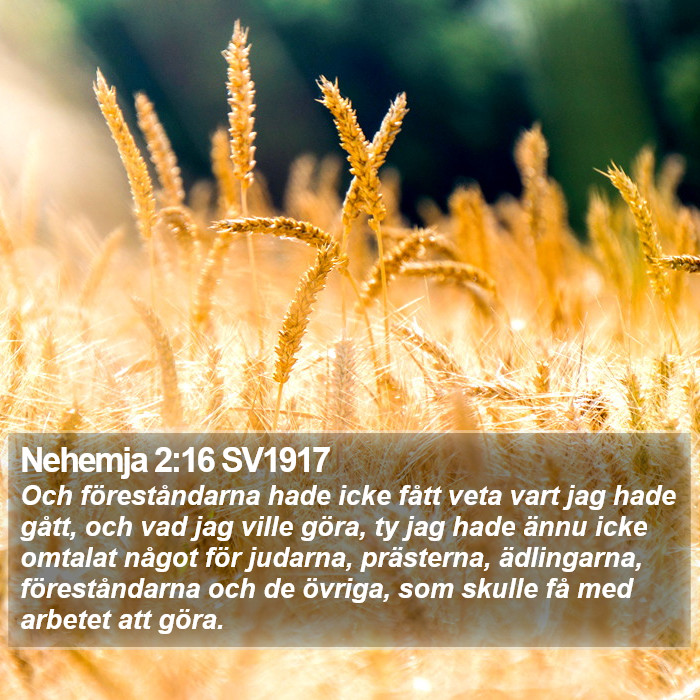 Nehemja 2:16 SV1917 Bible Study