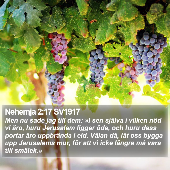 Nehemja 2:17 SV1917 Bible Study