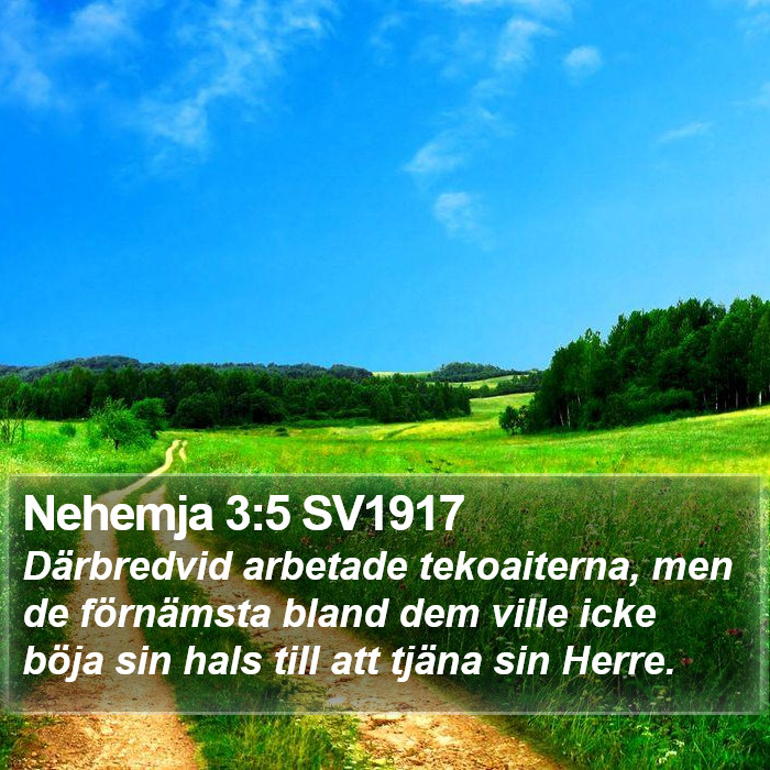 Nehemja 3:5 SV1917 Bible Study