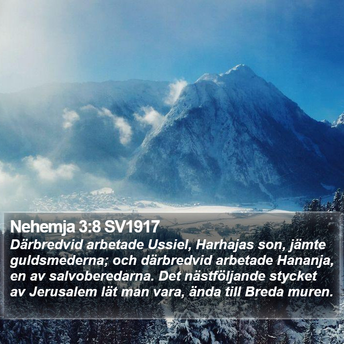 Nehemja 3:8 SV1917 Bible Study