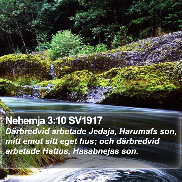 Nehemja 3:10 SV1917 Bible Study
