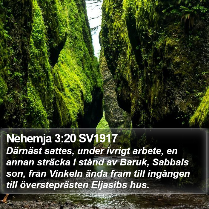 Nehemja 3:20 SV1917 Bible Study
