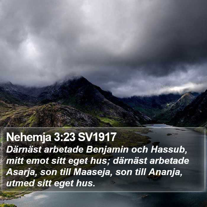 Nehemja 3:23 SV1917 Bible Study