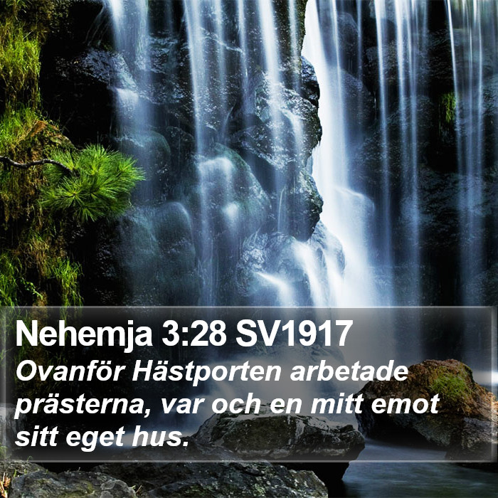 Nehemja 3:28 SV1917 Bible Study