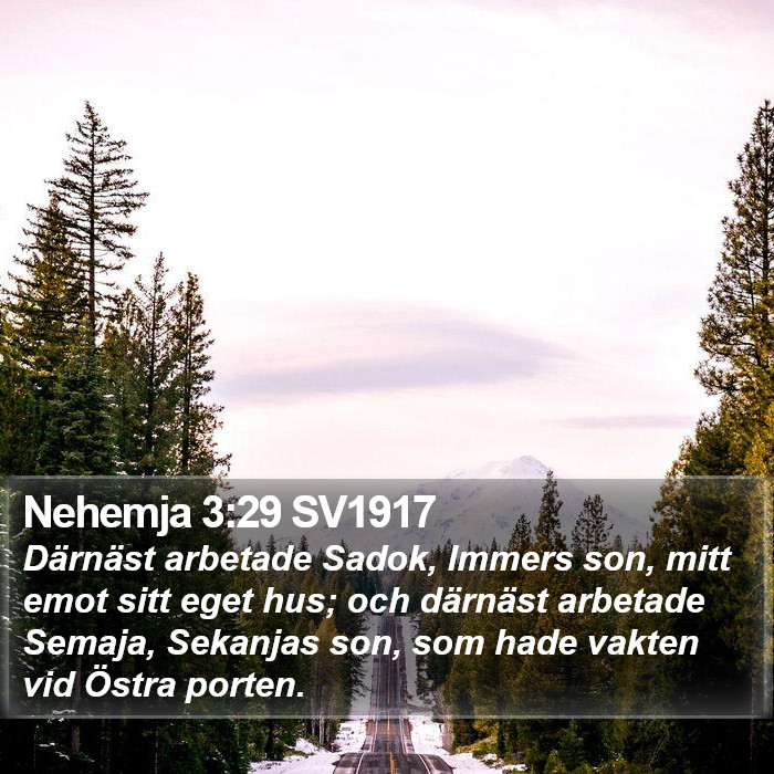 Nehemja 3:29 SV1917 Bible Study