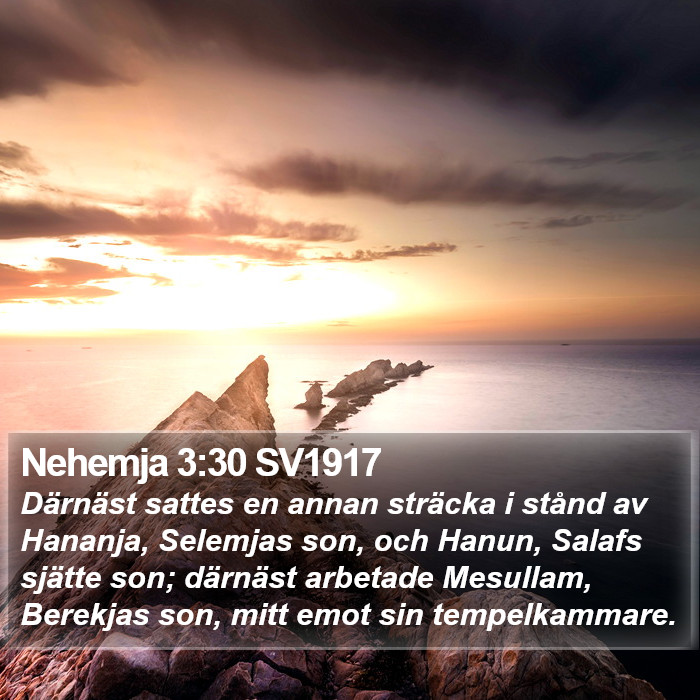 Nehemja 3:30 SV1917 Bible Study