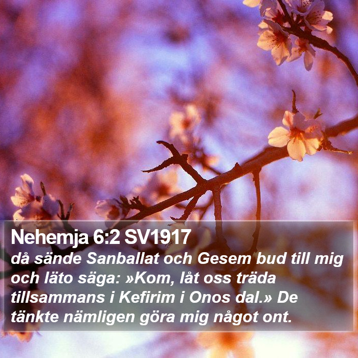 Nehemja 6:2 SV1917 Bible Study