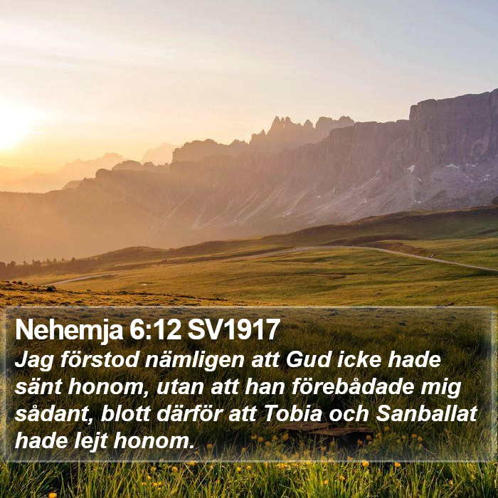 Nehemja 6:12 SV1917 Bible Study