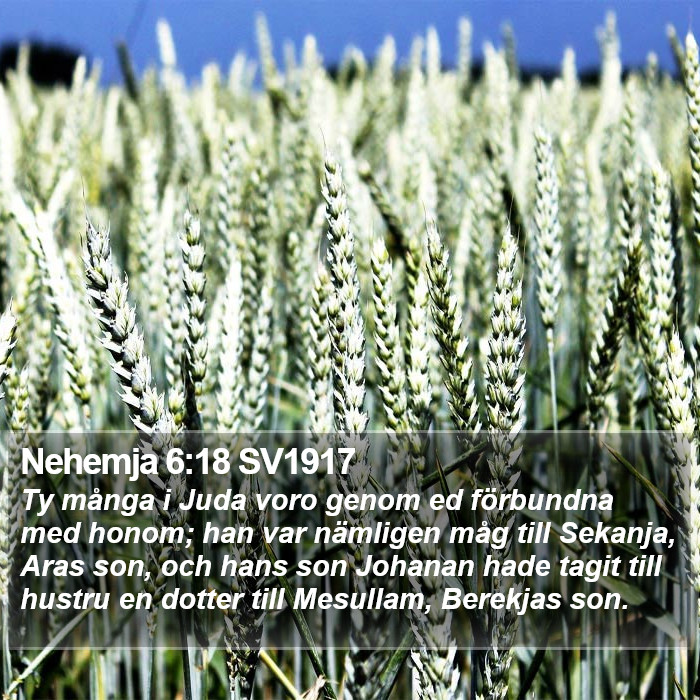 Nehemja 6:18 SV1917 Bible Study