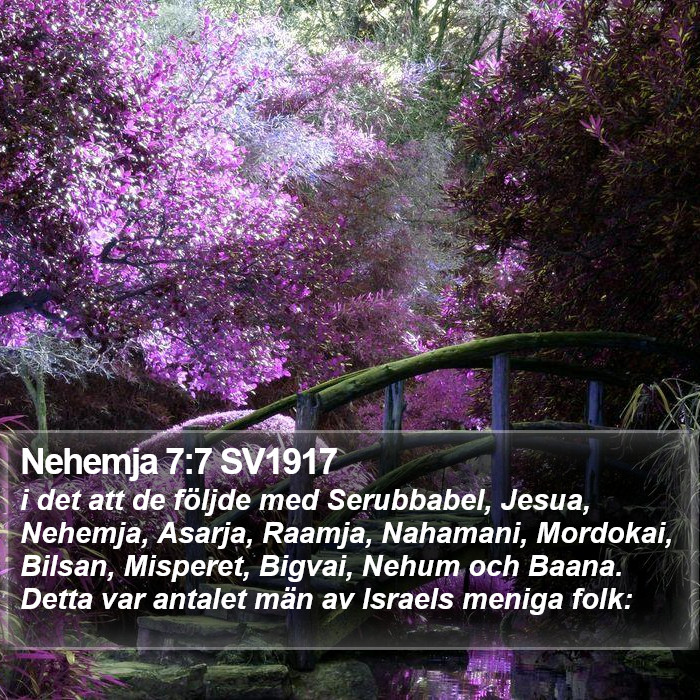 Nehemja 7:7 SV1917 Bible Study