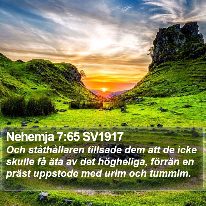 Nehemja 7:65 SV1917 Bible Study