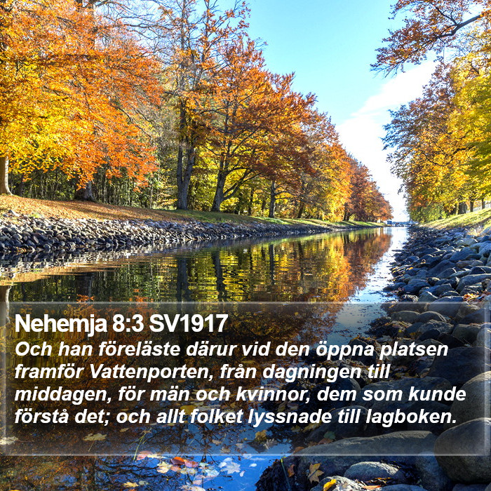 Nehemja 8:3 SV1917 Bible Study