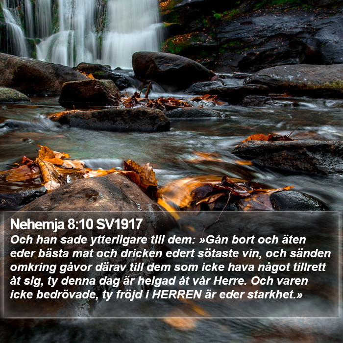Nehemja 8:10 SV1917 Bible Study