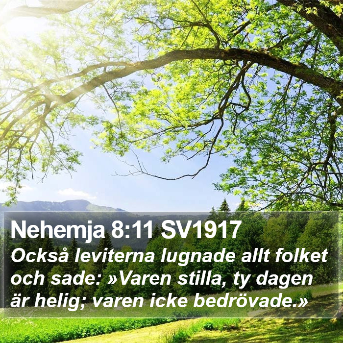 Nehemja 8:11 SV1917 Bible Study
