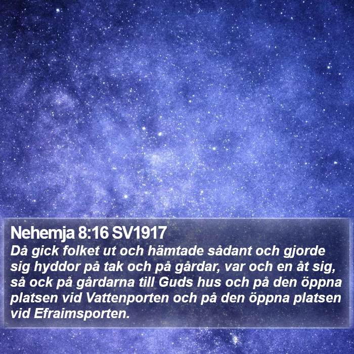 Nehemja 8:16 SV1917 Bible Study