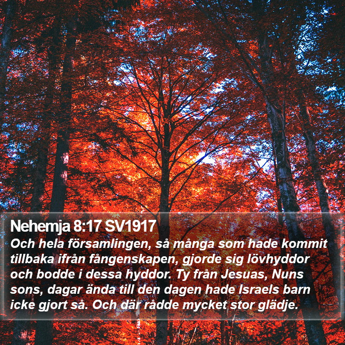Nehemja 8:17 SV1917 Bible Study