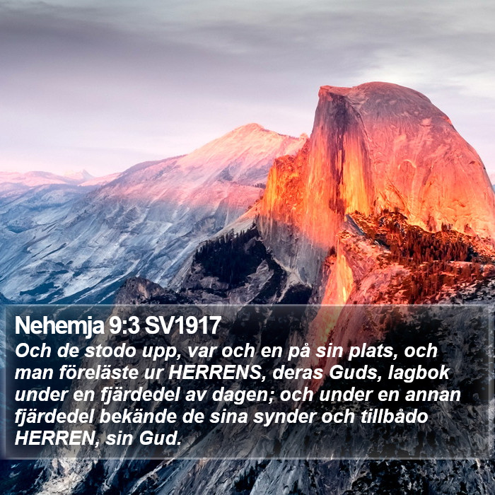 Nehemja 9:3 SV1917 Bible Study