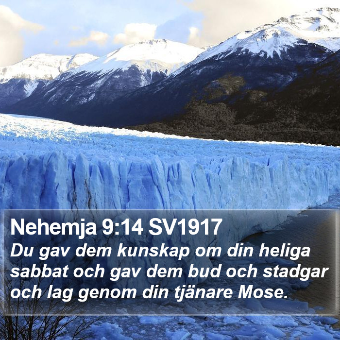 Nehemja 9:14 SV1917 Bible Study